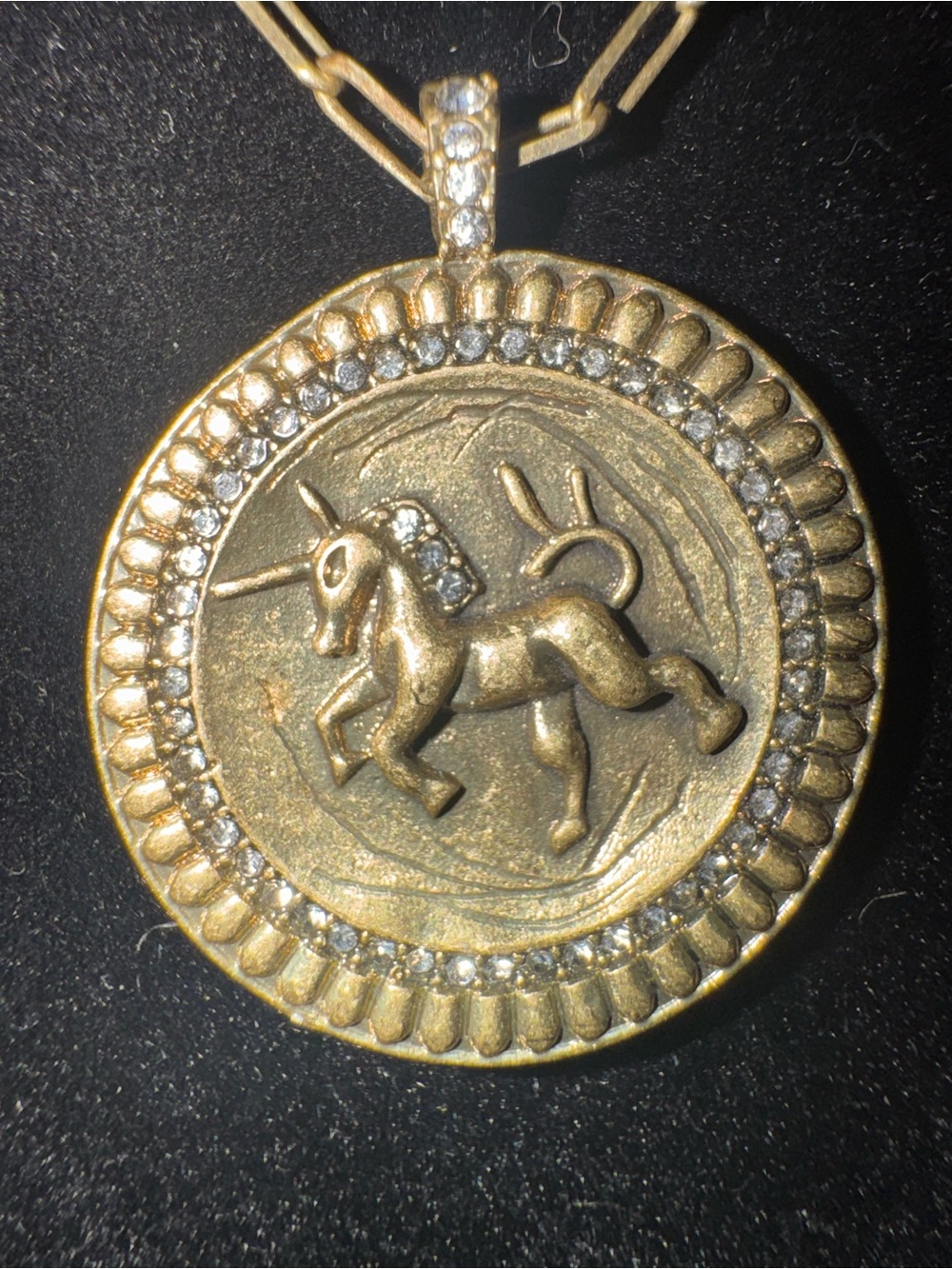 Stella & Dot Vintage Inspired Unicorn Coin Pendant Necklace Paperclip Chain